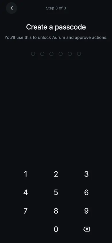 Aurum · Set Passcode — Web3 Flutter screen