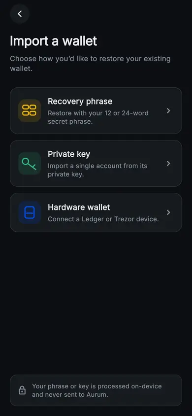 Aurum · Import Wallet — Web3 Flutter screen