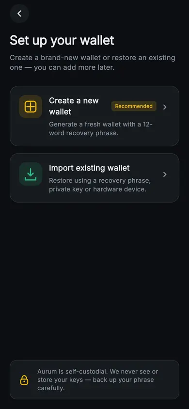 Aurum · Create or Import — Web3 Flutter screen