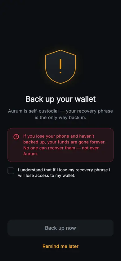 Aurum · Back Up Now — Web3 Flutter screen