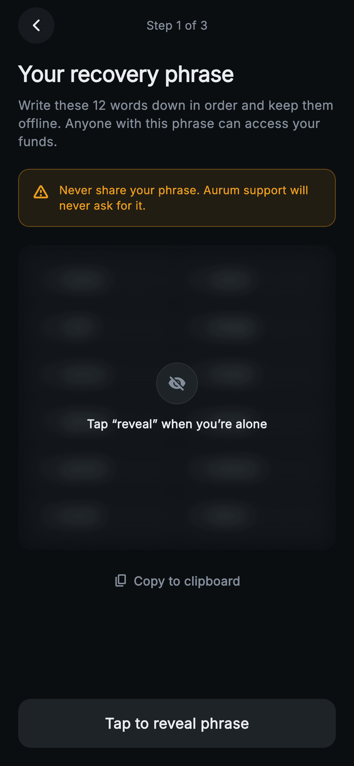 Aurum · Recovery Phrase — Web3 Flutter screen