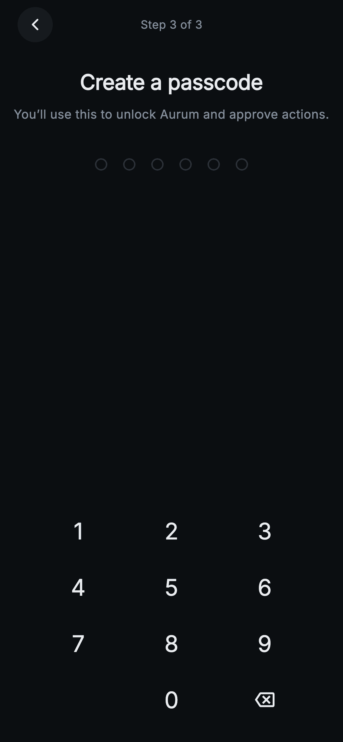Aurum · Set Passcode — Web3 Flutter screen