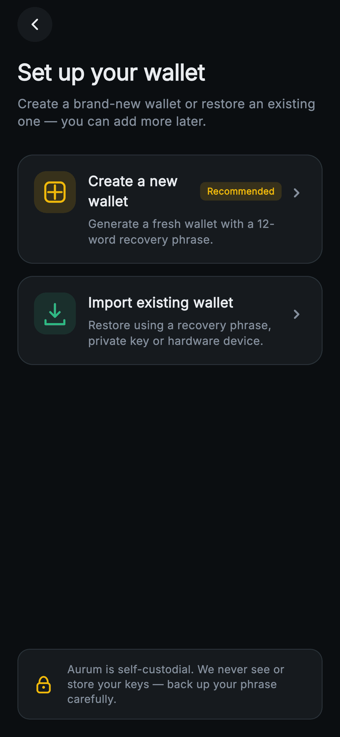 Aurum · Create or Import — Web3 Flutter screen