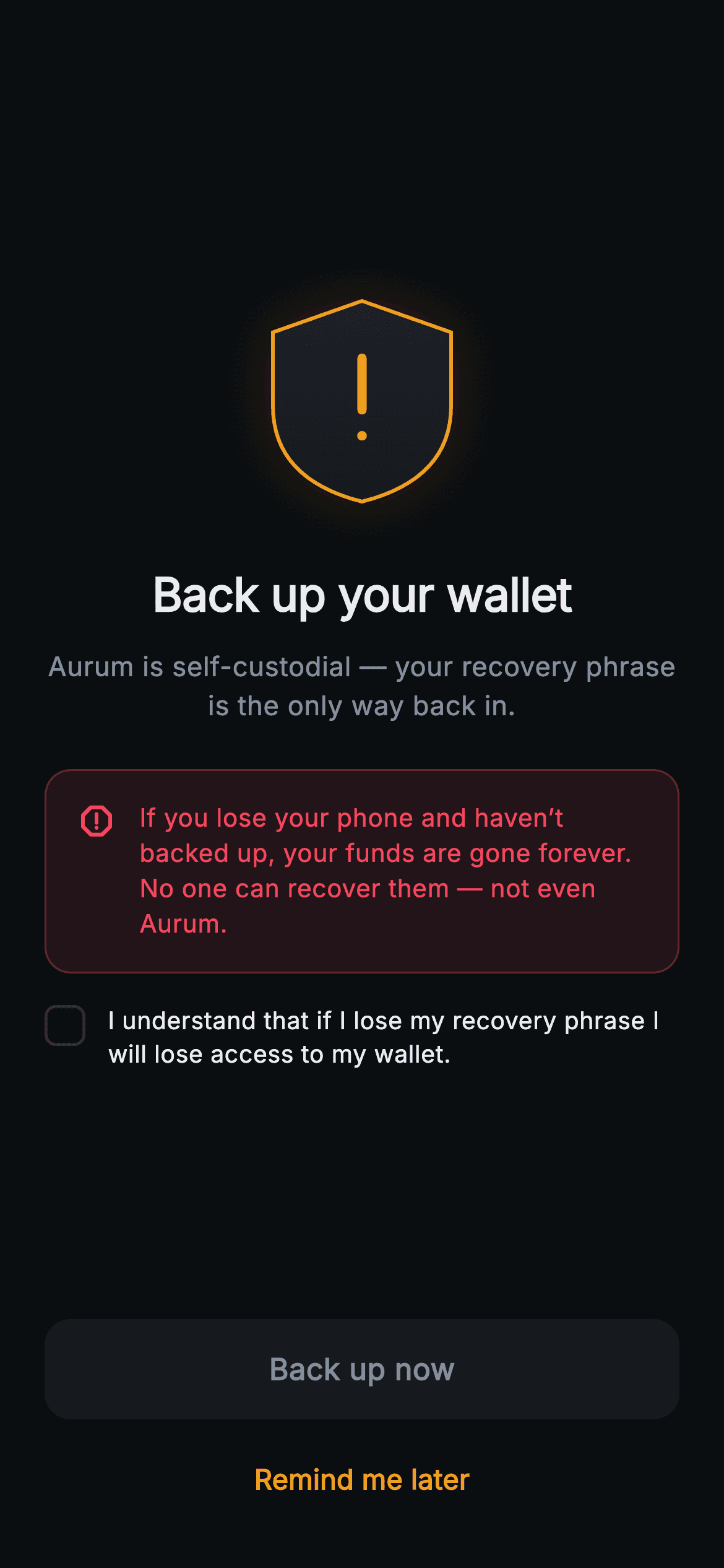 Aurum · Back Up Now — Web3 Flutter screen